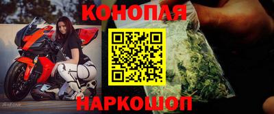 гашик Брянск