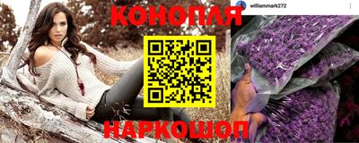 гашик Брянск