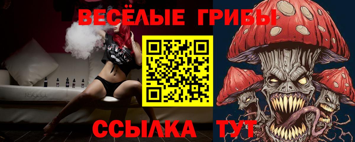 Владивосток  Галлюциногенные грибы Psilocybe  Вход с VPN 
