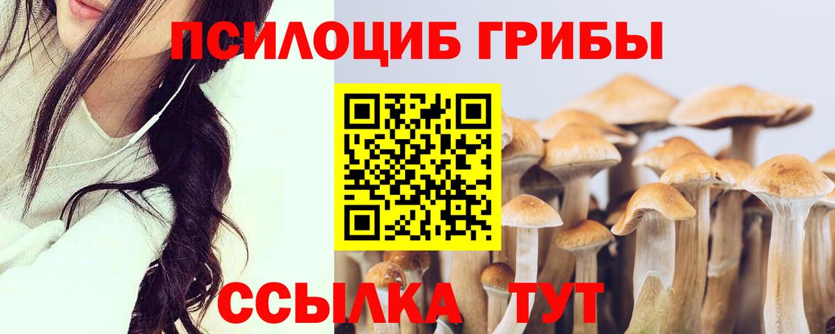 Галлюциногенные грибы ЛСД Владивосток